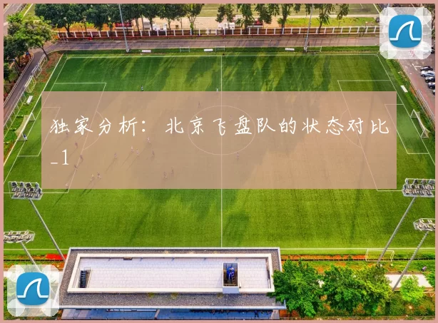 独家分析：北京飞盘队的状态对比_1