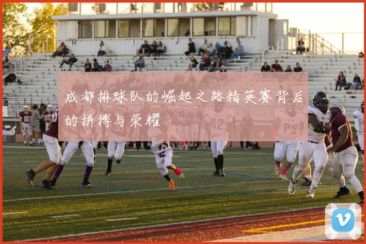 成都排球队的崛起之路精英赛背后的拼搏与荣耀