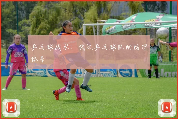 乒乓球战术：武汉乒乓球队的防守体系