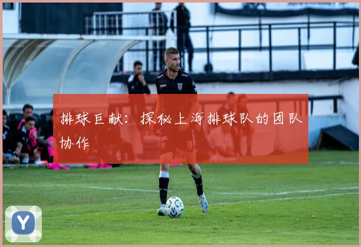 排球巨献：探秘上海排球队的团队协作
